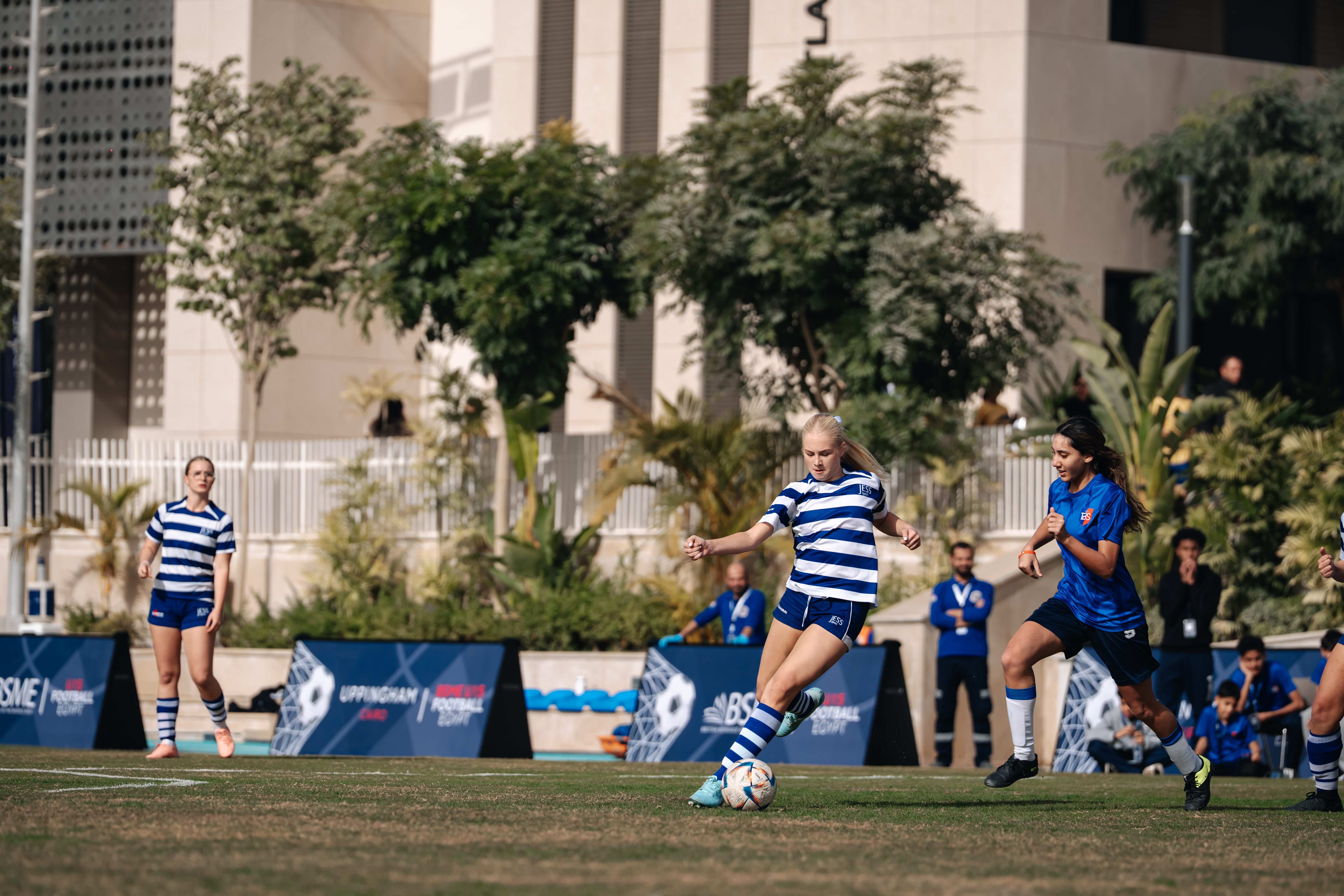 OriginalImage,,,Original