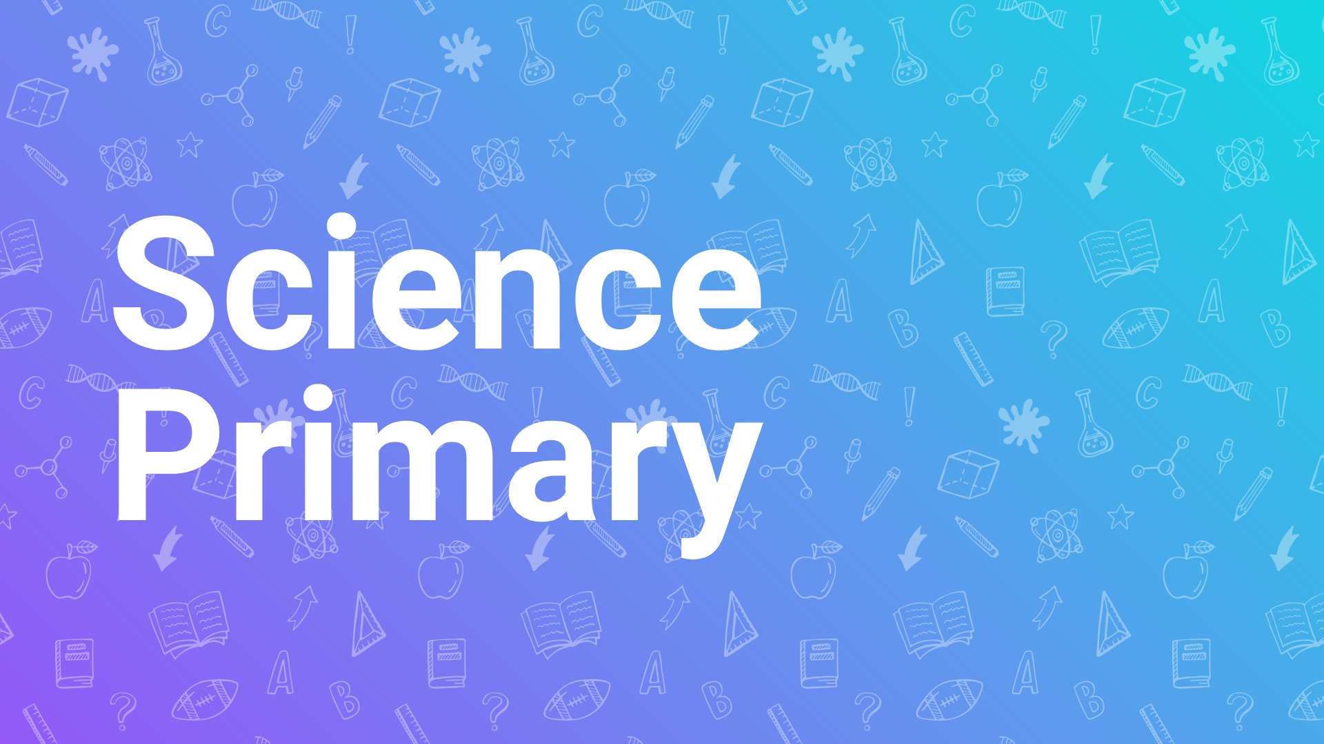 OriginalImage,,,Original