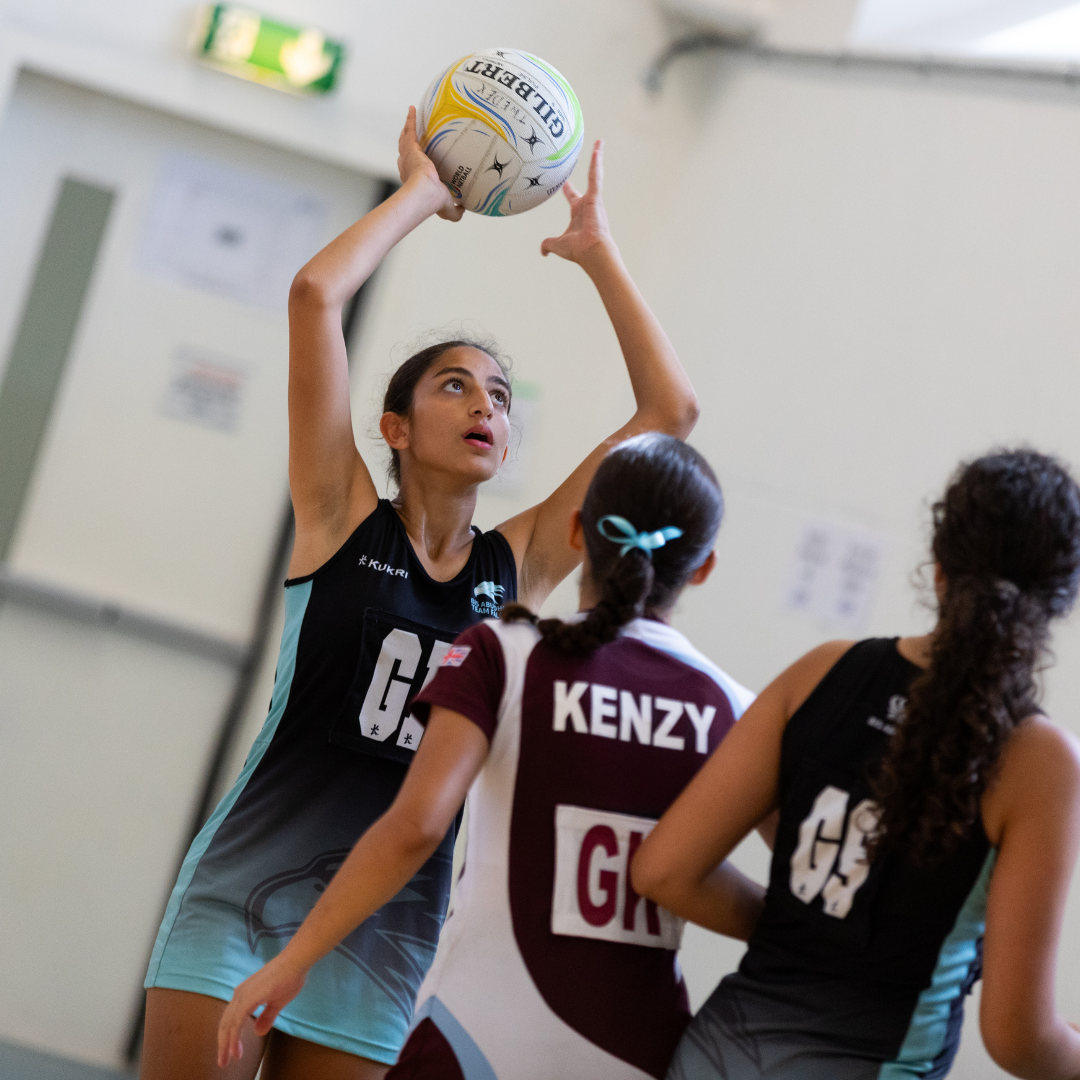 OriginalImage,,,Original